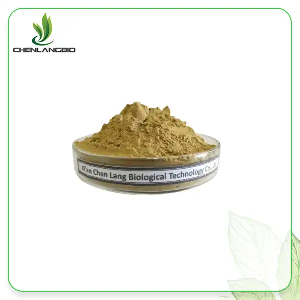Thymus Serpyllum Extract Thymus Serpyllum Extract